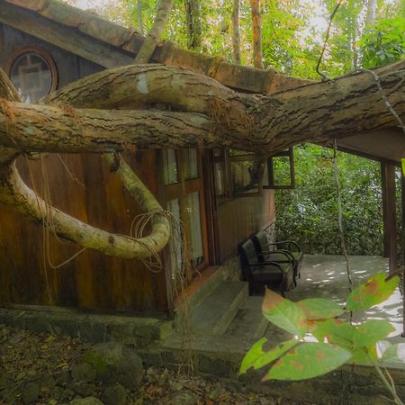 Forest Floor Lodge Cat Tien Exterior photo