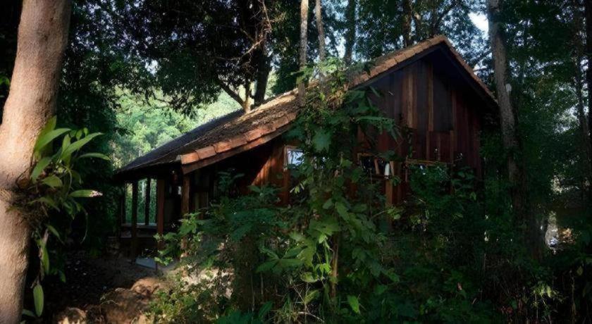 Forest Floor Lodge Cat Tien Exterior photo